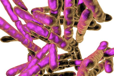 Bifidobacterium Art Pixels