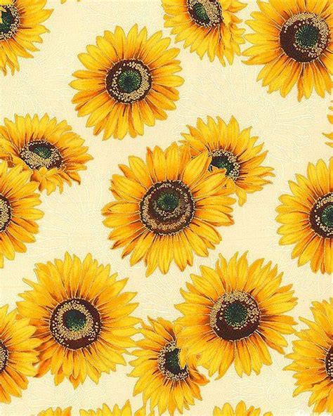 Sunflowers Sunflower Wallpaper Sunflower Art