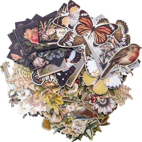 Tim Holtz Idealogy Ephemera Pack Botanical 83pkg Th93554 Hndmd