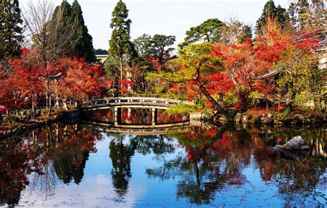 Wallpaper Autumn Leaves Trees Bridge Lake Park Japan Japan