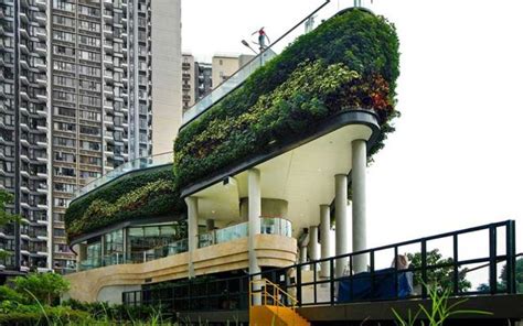 Founded in 2011, emily tan & company offers friendly, personalised and highly experienced residential real estate solutions to hong kong's international community. Hong Kong's green supermarket superstar | The Fifth Estate