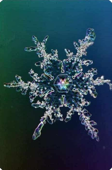 Snow Under A Microscope Snow Crystal Microscopic High Resolution
