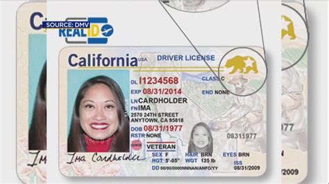 Document Number On Drivers License California Seoevseoos