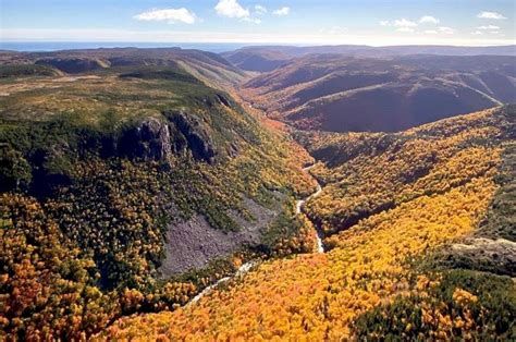 Breton Air Fall Colours Helicopter Tour Over The Cape Breton Highlands