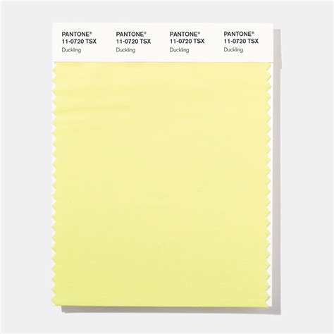 Pantone 11 0720 Tsx Duckling Polyester Swatch Card Design Info