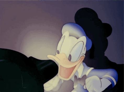 Watching Donald Duck  Find And Share On Giphy