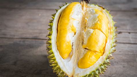 It is ditto for other durian hotspots, durian mpire by 717 trading on yio chu kang durian season is expected to make a comeback in july this year. World's most gratuitously expensive foods - 9Kitchen