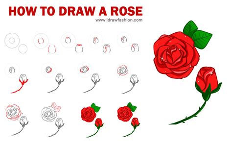 Perennials are plants that grow and. How to draw a rose step by step tutorial_small - I Draw ...