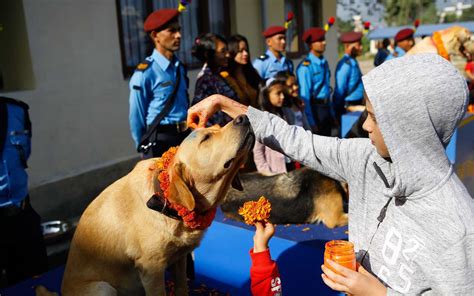Inside Day Of The Dogs A Hindu Festival In Nepal Dedicated To Our