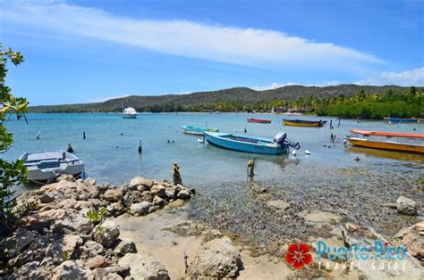 Giligan S Island Puerto Rico Guanica Guilligan Guide Ferry Tours Photos