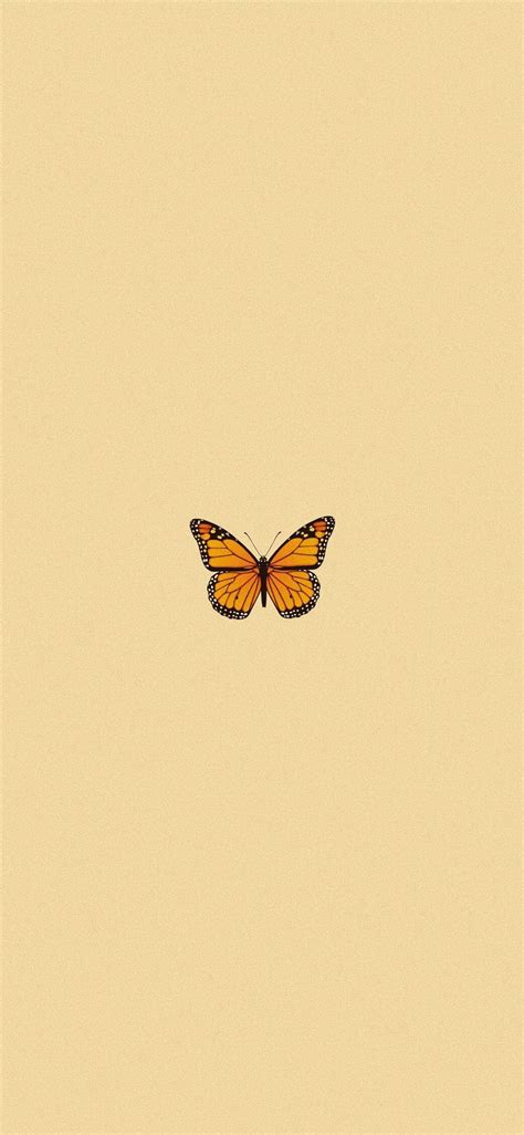 Aesthetic Wallpapers Butterfly Monarch Butterfly