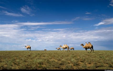 Breathtaking Views Of Kazakhstan Nature · Kazakhstan Travel And Tourism