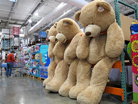 Huge Teddy Bear Costco