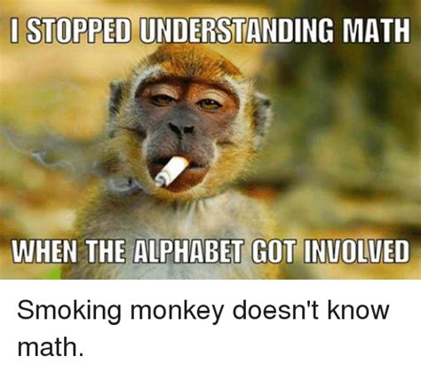 15 Funny And Adorable Monkey Memes