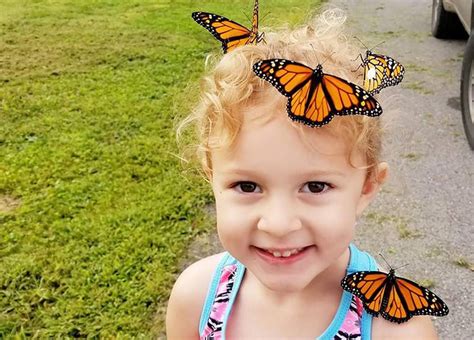 100 Monarch Butterflies And Counting Added To Hurting