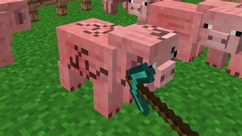 Minecraft Cursed Images 05 Mining Animals Youtube
