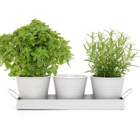 Set Of 3 Plant Herb Pots And Tray For Your Widowsill White
