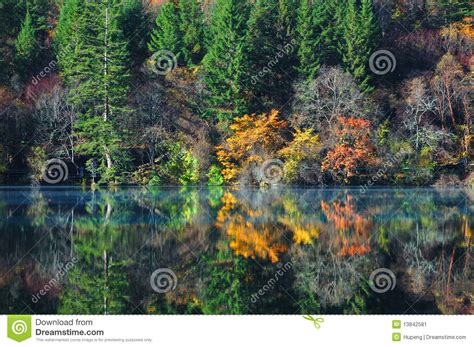 Autumn Tree And Lake In Jiuzhaigou Stock Image Image Of Highlands