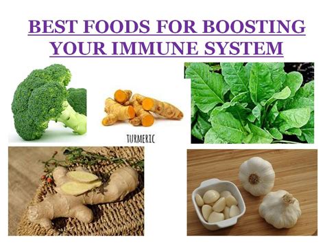 Immune system booster foods in hindi. Best daily foods for boosting your immune system (Immune ...