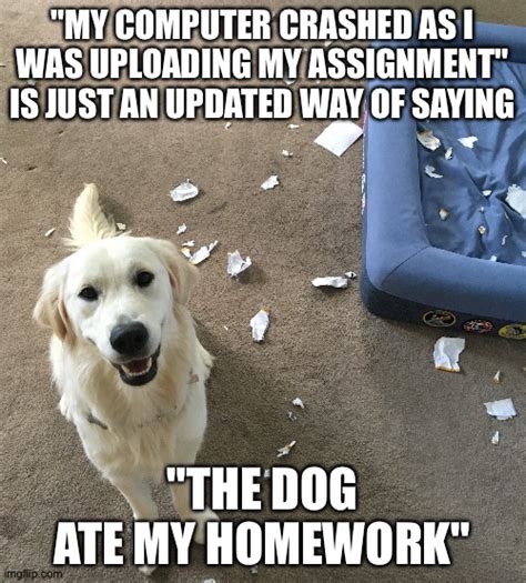 Dog Ate My Homework Imgflip