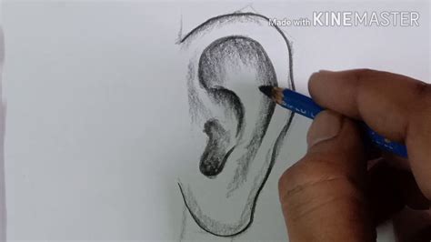 How To Draw Ear Step By Step Youtube