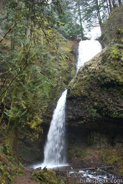Latourell Falls Trail Oregon