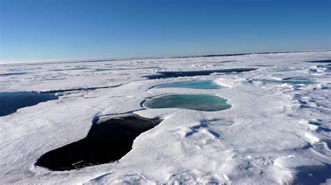 New Chlamydia Species Discovered Deep Under The Arctic Ocean Boston