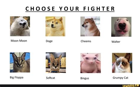 Choose Your Fighter 25 Ab Moon Moon Doge Cheems Walter Big Floppa