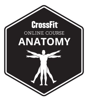 CrossFit Online Courses | Online courses, Online training courses ...