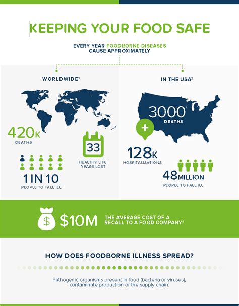 Food Safety Infographic Edrawmax Template