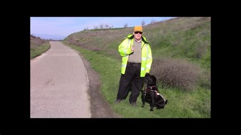 My Guide Dog And I Youtube