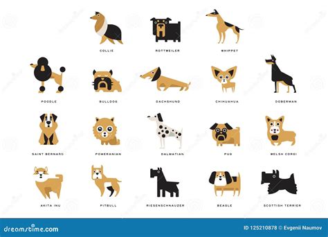 Collection Of Different Dogs Breeds Characters And Lettering Breed In