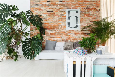 Small apartment decorating ideas on a budget