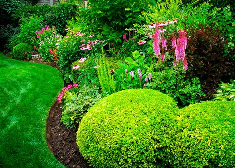 Darius Ultimate How To Choose Shrubs For Landscaping 3 If You Can Jot Down Some Varieties