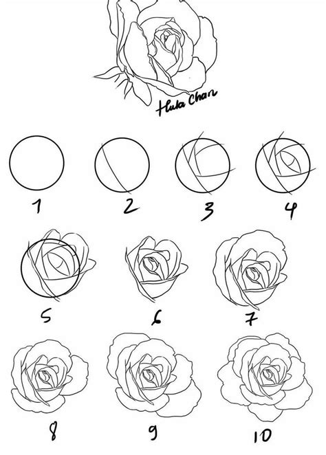How To Draw A Rose Flower Drawing Roses Drawing Rose Drawing