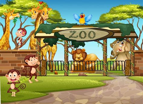 Zoo Vectors Photos And Psd Files Free Download