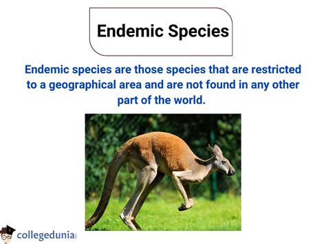 Endemic Species Definition And Endemic Species Of India