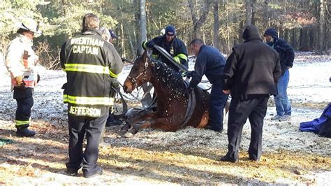 Wrentham Police Rescue Bob The Horse From Icy Situation Wrentham