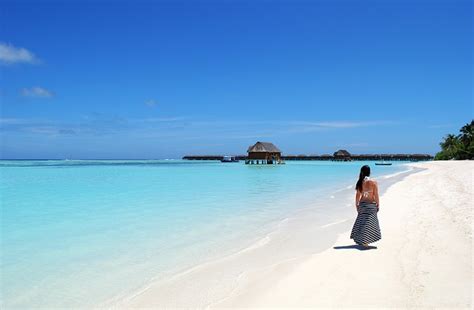 Maldives Beach Sea Free Photo On Pixabay
