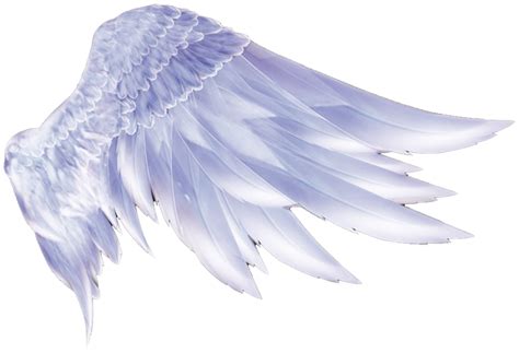 Alas De Angel Vectorizadas Png Golden Wings Png Transparent Image