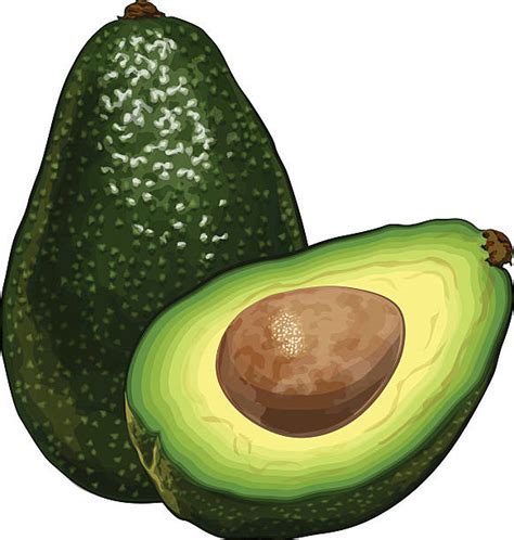 Royalty Free Avocado Clip Art Vector Images And Illustrations Istock