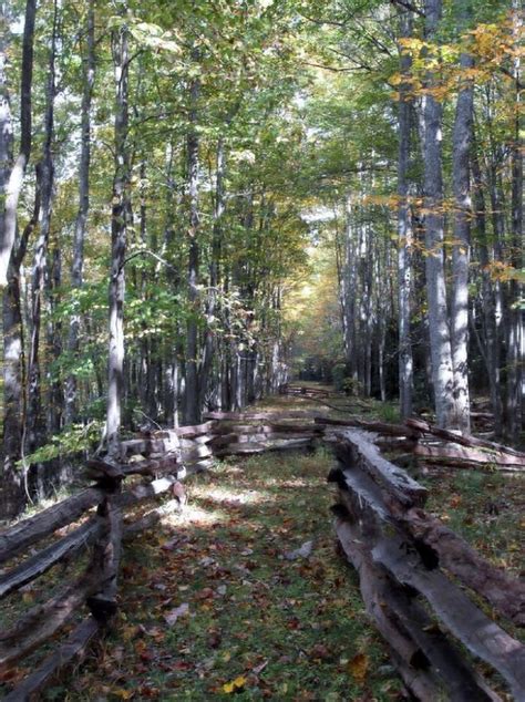 9 Of The Shortest Best Hikes In West Virginia Artofit