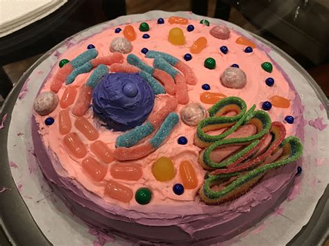 Edible Animal Cell Cake It Turned Out Perfect And Was Easier Than I