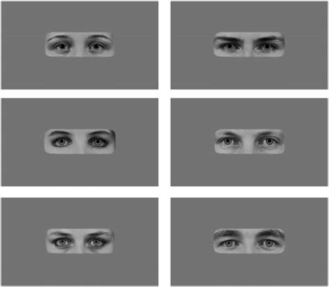 Stimuli Depicting Pupil Sizes Example Images Of Female Left And Male