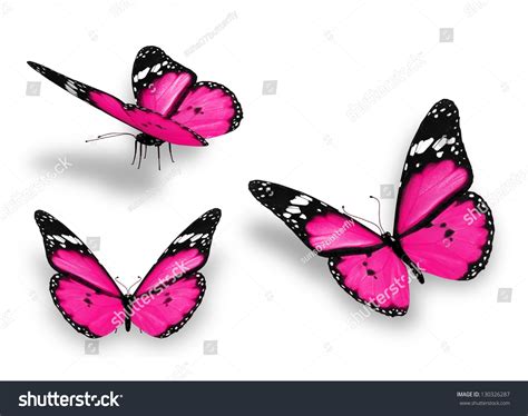 Three Pink Butterflies Isolated On White Stock Illustration 130326287