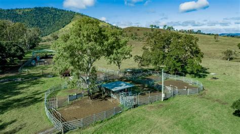 South East Queensland Cattle Property Sells At Auction For Million