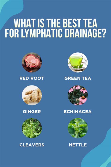 What Is The Best Tea For Lymphatic Drainage