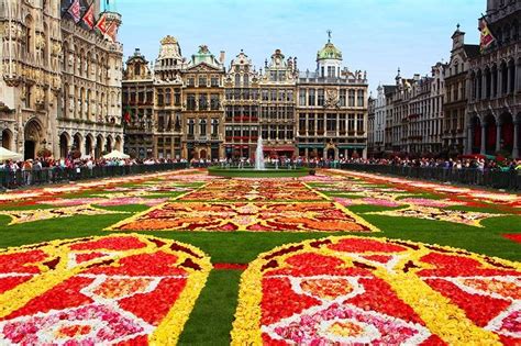 Brussels Flower Carpet Ultimate Guide 2024 Dates And Tips For Your Visit
