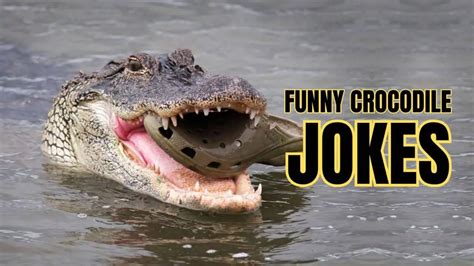 50 Crocodile Jokes You Cannot Share With An Alligator