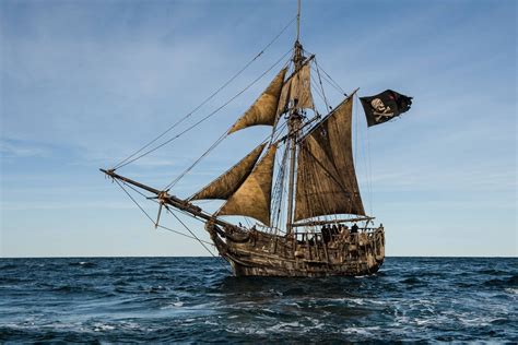 In questo blog si possono trovare le migliori frasi di tutti i film dei pirati dei caraibi, con aggiunta di immagini, gift oppure di scene. Dying Gull | Pirati dei Caraibi Wiki | Fandom